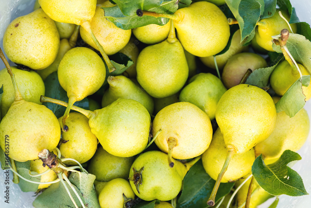 Fresh pears background