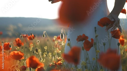 Young brunette woman in white sundress walking through poppies field at sunset