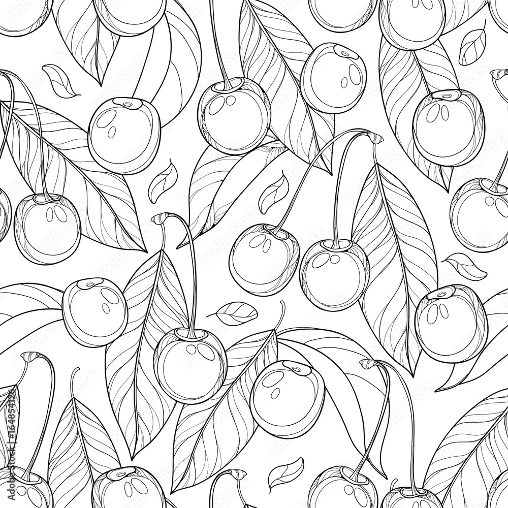 Vector seamless pattern with outline ripe Cherry, berry and leaves