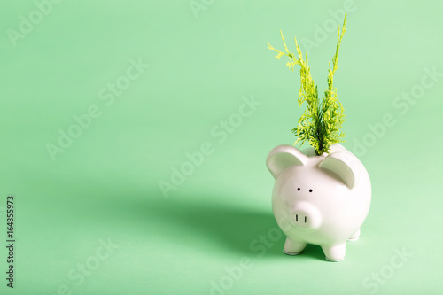 White piggy bank with glasses on a muted green background