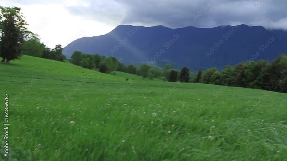 Green meadow and hills Green meadow and hills
