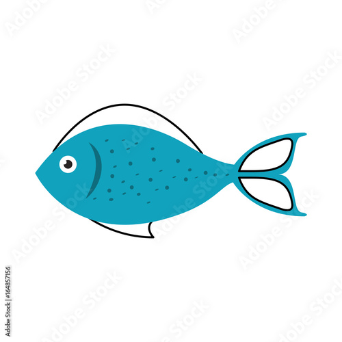 sea fish isolated icon vector illustration design