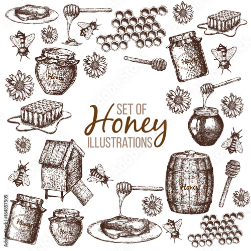 Hand drawn ink sketch illustration, set of honey, organic nature products. Vector