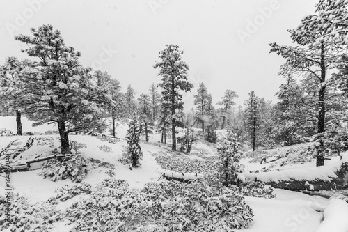 Heavy winter snowfall in pr...