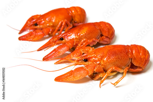 Hot boiled crayfishes isolated on white background