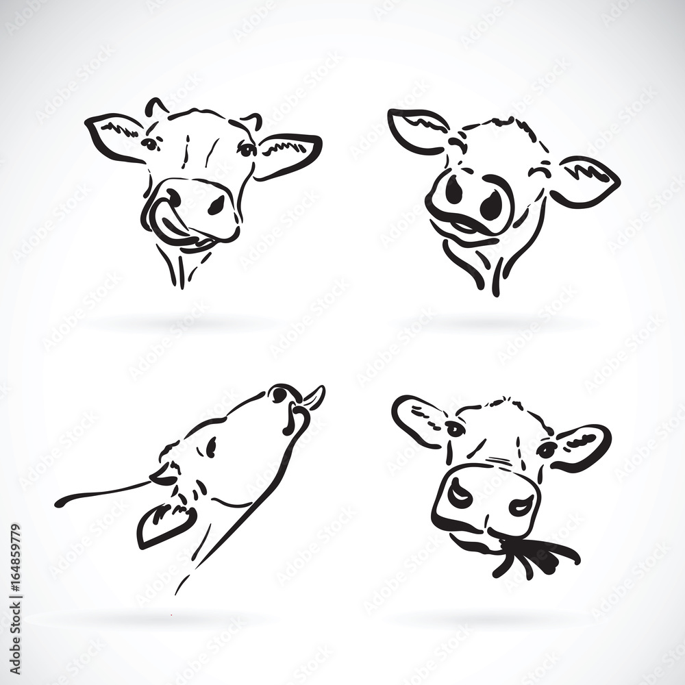 Obraz premium Vector of cow head on white background. Farm Animal. Easy editable layered vector illustration.