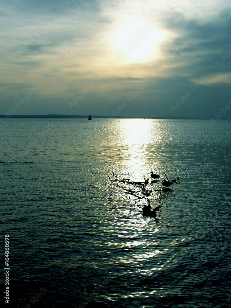 Fototapeta premium Am Wasser