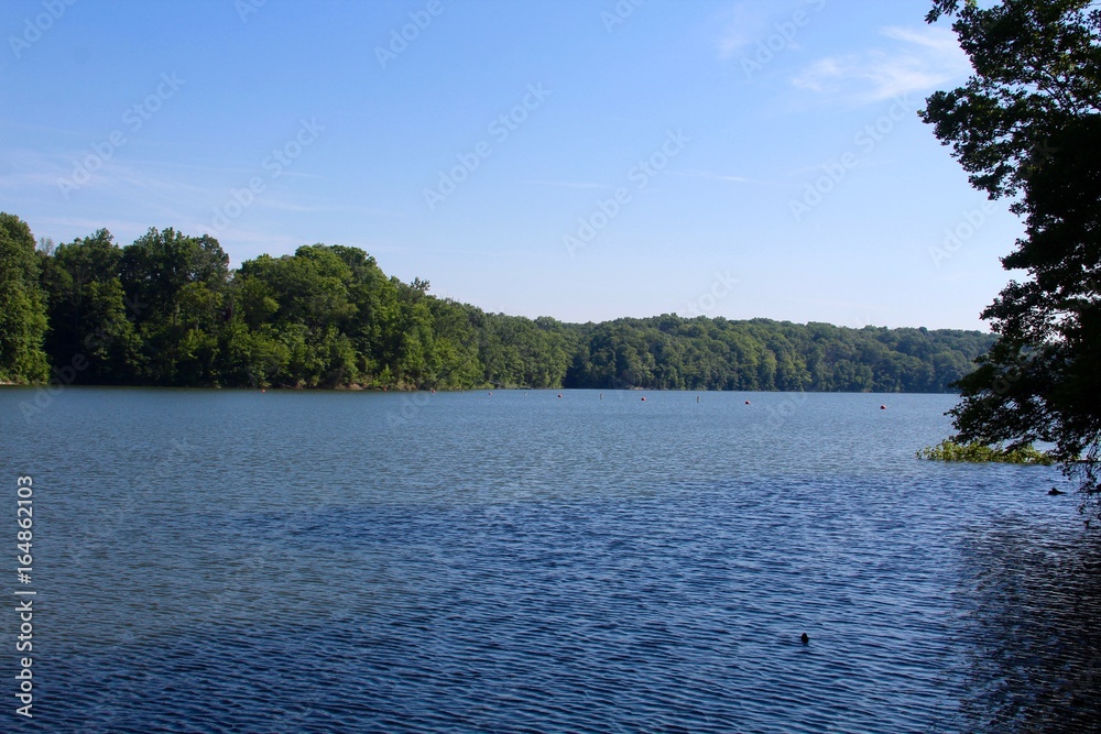 The lake at the park on a clear sunny day.