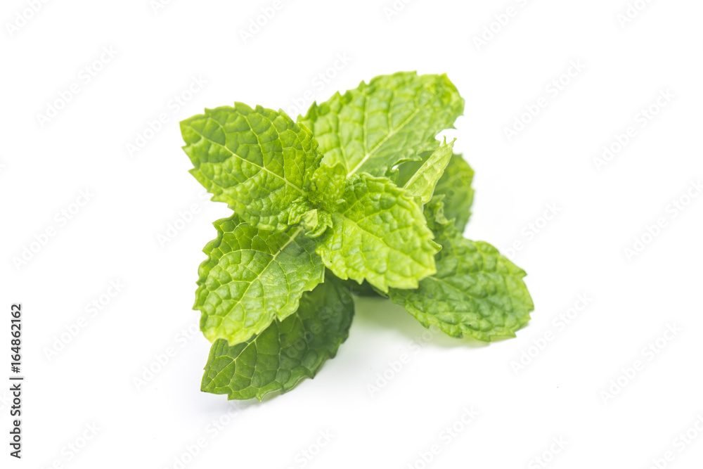 Mint leaf Mint leaf