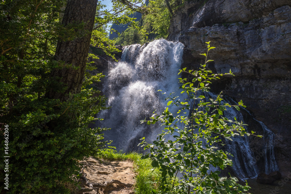Waterfall in the forest (National park of 'Ordesa y monte perdido') - obrazy, fototapety, plakaty 