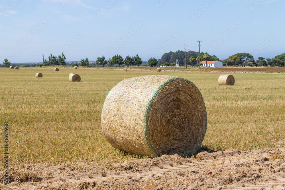 Hay pile in a farm field in Porto Covo