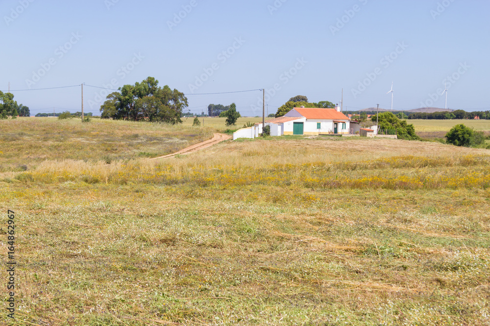 Farm house and wheat plantation  in Porto Covo