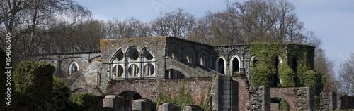 Slika na platnu Moss Grown Abbey