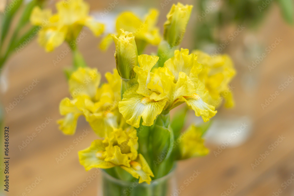 bouquet of yellow irises, selective focus