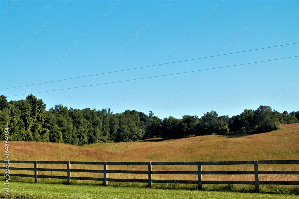 6003-Fences and Farmland (FEN-071817-0925A)