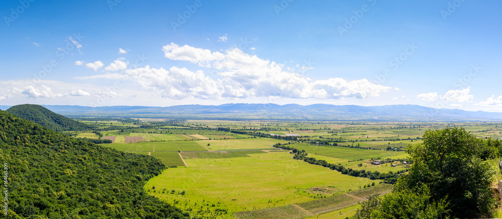 Panoramic view of the Alazani valley from the height of the hill. Kakheti region - obrazy, fototapety, plakaty 