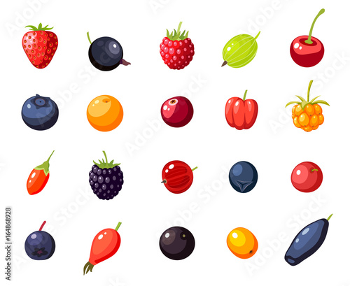 Set single berries: cherry, rosehip, strawberry, acai, raspberry, juniper, cranberry, cloudberry, blueberry, goji, acerola, blackberry, currant, honeysuckle. Vector collection of flat icon, isolated.