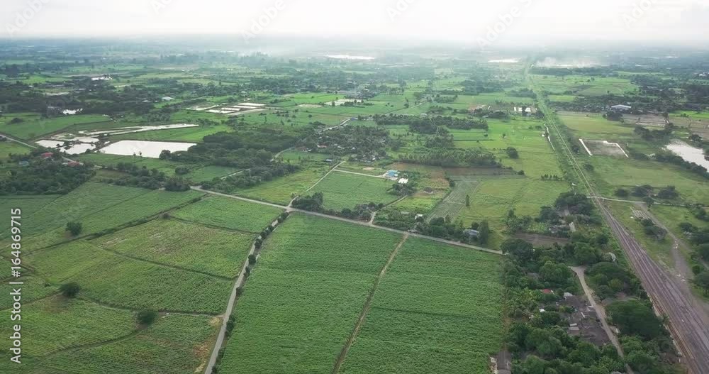 Aerial view of the housing with the typical rice farming or agriculture in rural Ban Pong, Ratchaburi, Thailand Aerial view of the housing with the typical rice farming or agriculture in rural Ban Pong, Ratchaburi, Thailand