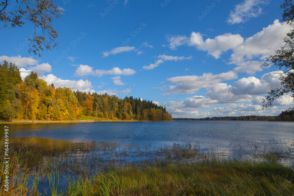 Fall forest behind the lake. Beautiful sky with sun and clouds. Autumn moment.