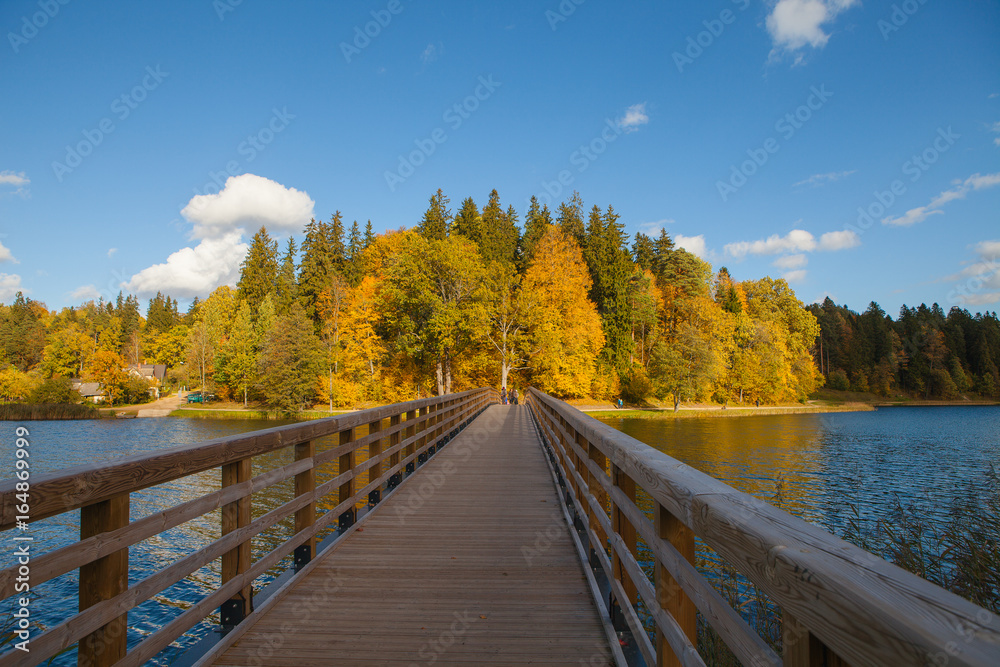 Naklejka premium Fall forest behind the lake. Wooden bridge though the lake. Autumn moment.
