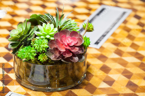 Small beautiful tree in the glass decorate on the table