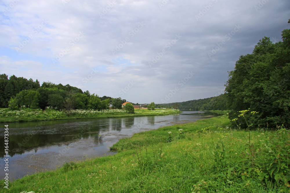 Summer landscape of the Moscow River in Polushkino