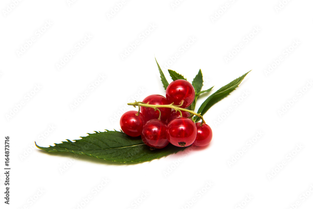 Red currant isolated on white. Red currant isolated on white.