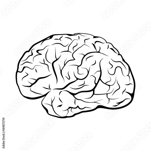 Black and white outline brain mark.