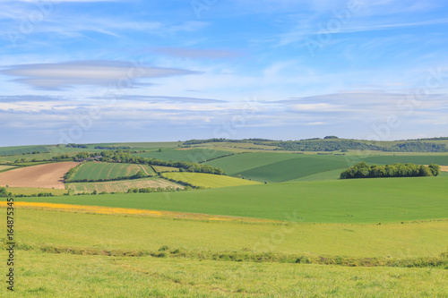 Sussex Landscape