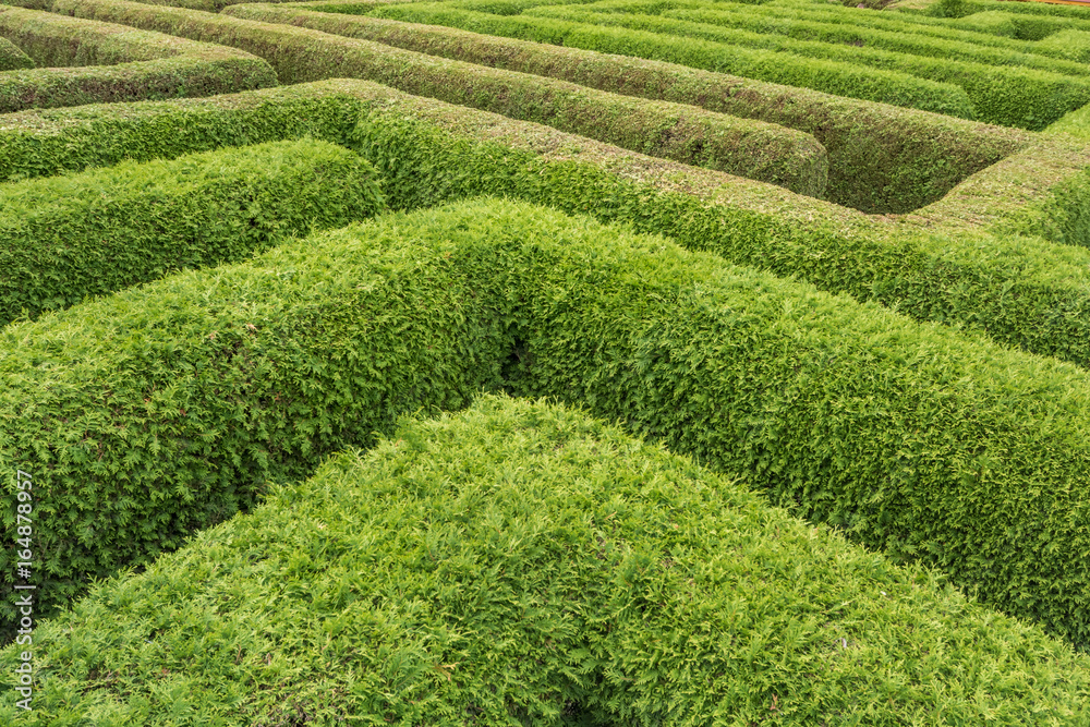 Labyrinth als Metapher für Irrwege im Alltag