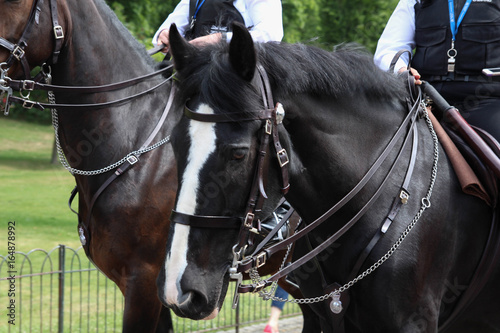 Policeman on horse, London