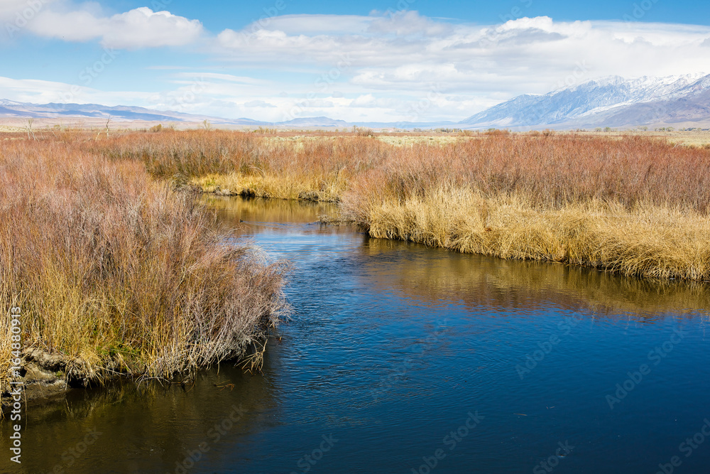 Owens' River Water