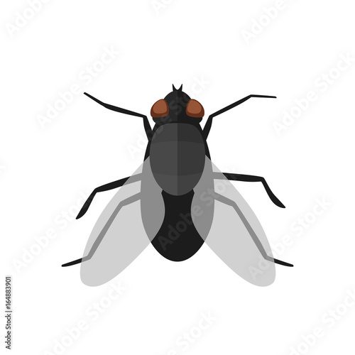 Fototapete Fly icon in flat style