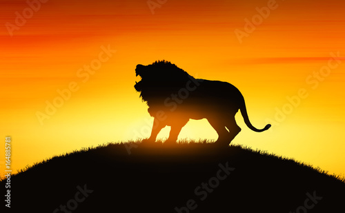 Fototapeta Naklejka Na Ścianę i Meble -  African landscape with animal lion silhouette