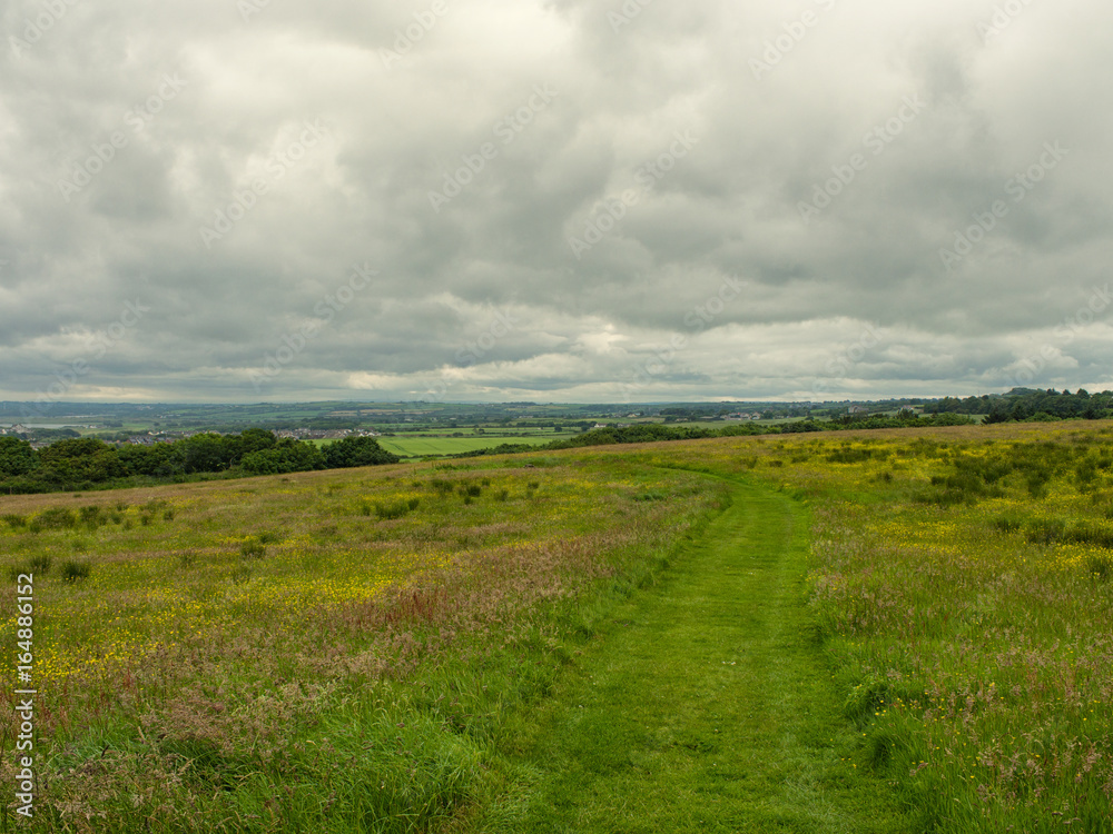 summer countryside,Northern Ireland summer countryside,Northern Ireland