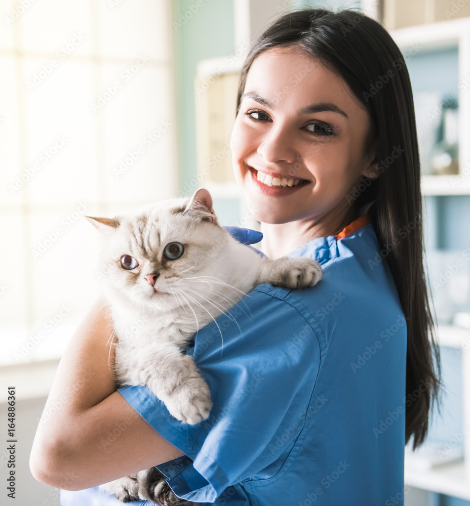 At the veterinarian At the veterinarian