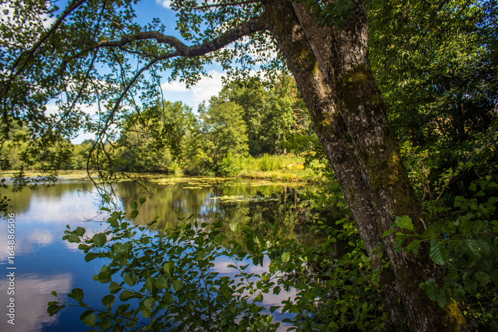 Natural lake