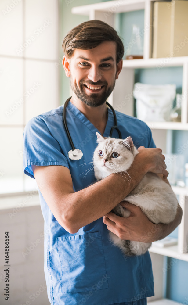 At the veterinarian Stock Photo | Adobe Stock