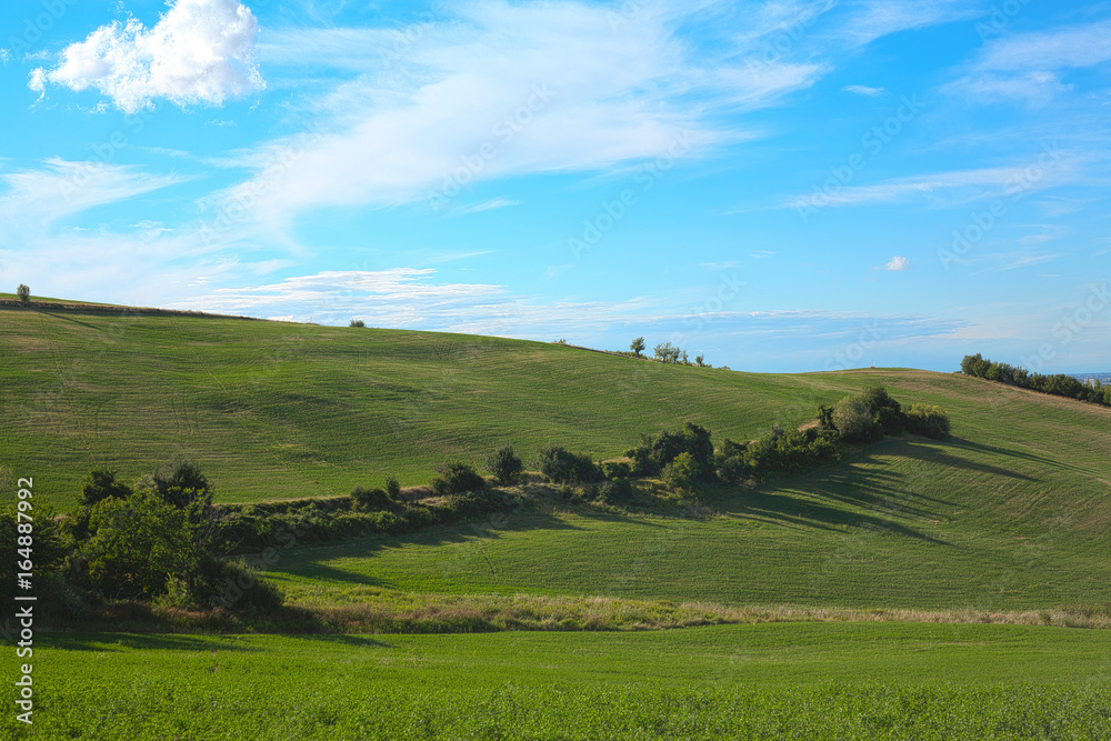 Panorama of green Tuscan hills on a sunny day landscapte in Italy