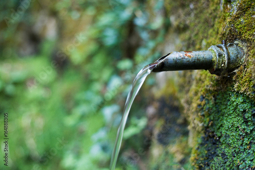 fountain in the wood