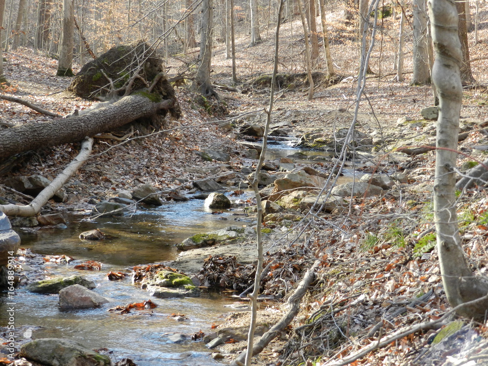 Obraz premium Small Creek