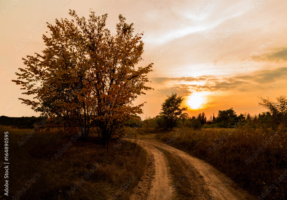 Road at sunset