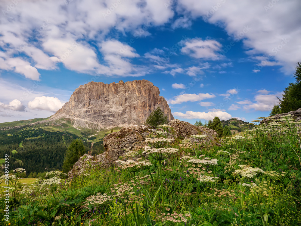 Blick auf den Langkofel, Dolomiten, Italien 