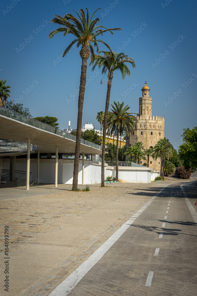 Palm trees against a blue sky in Seville, Spain, Europe wih Torre del Oro in the background