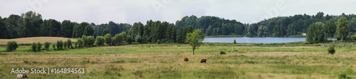 Schmalensee in Schleswig-Holstein