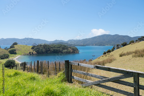 View from Urupukapuka Island in Bay of Islands  New Zealand  NZ