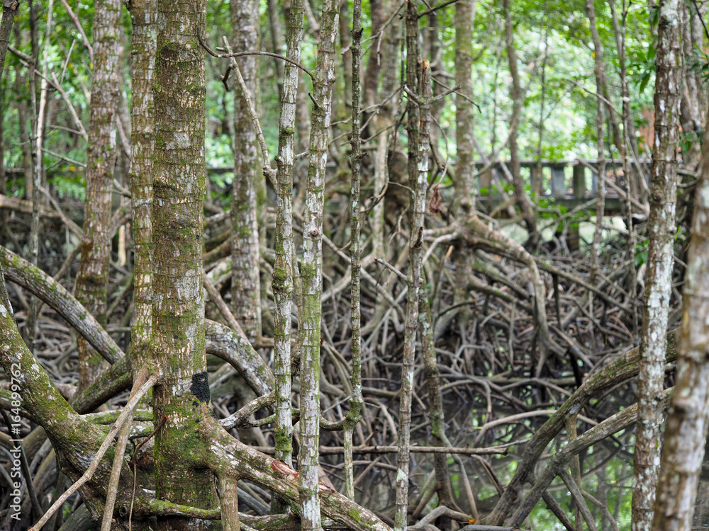 Koh Chang Koh Chang