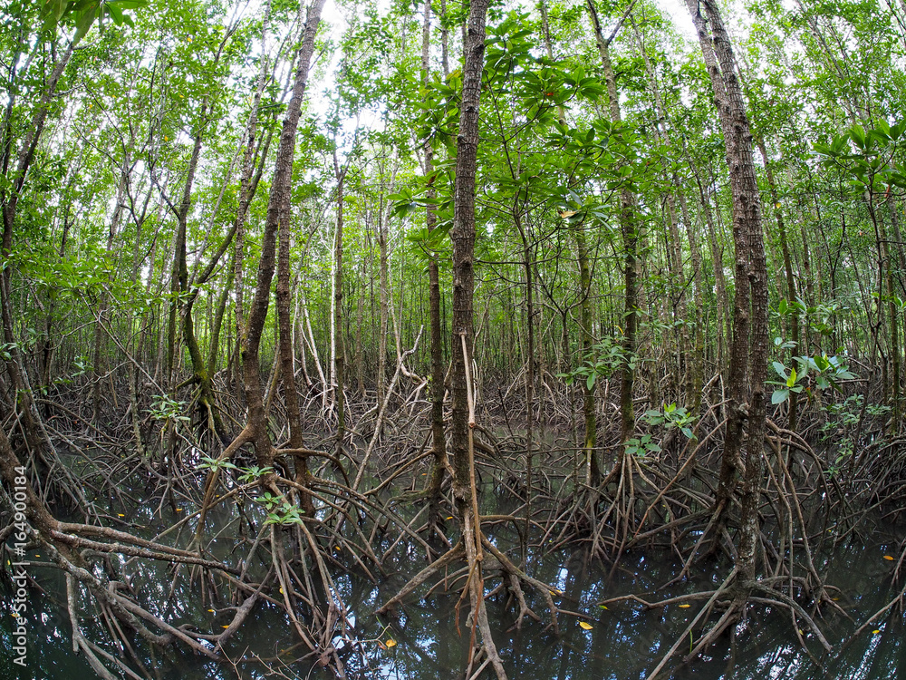 Koh Chang Koh Chang