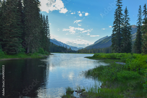 Fortune Creek area, Cle Elum, WA June 2016 photo