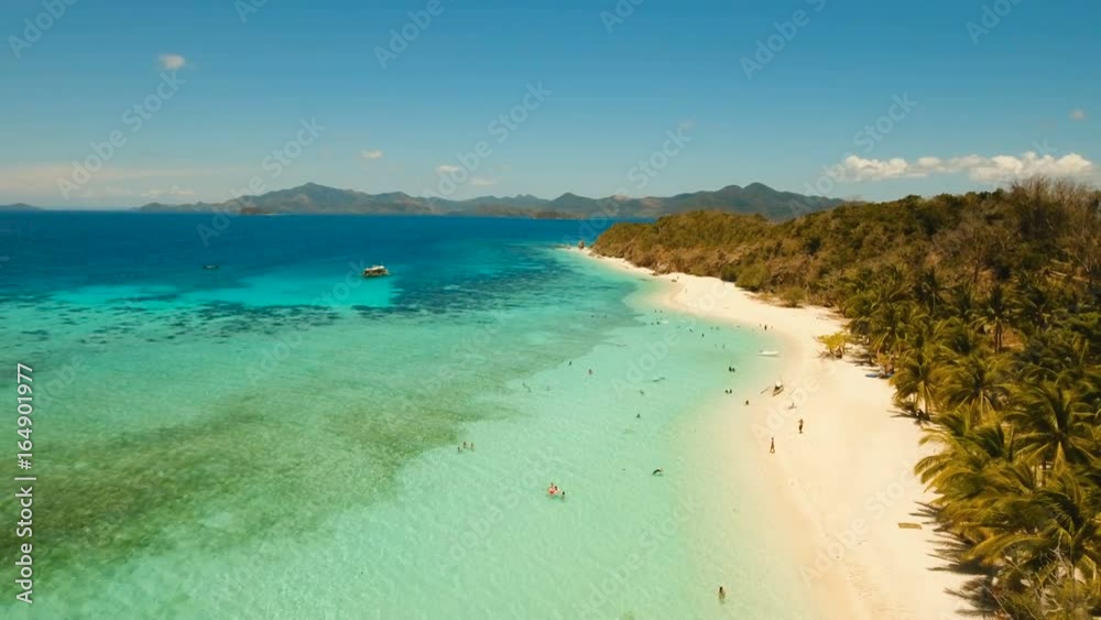 Aerial view of tropical beach on the island Malcapuya, Palawan, Philippines. Beautiful tropical island with sand beach, palm trees. Tropical landscape: beach with palm trees. Seascape: Ocean, sky, sea Aerial view of tropical beach on the island Malcapuya, Palawan, Philippines. Beautiful tropical island with sand beach, palm trees. Tropical landscape: beach with palm trees. Seascape: Ocean, sky, sea